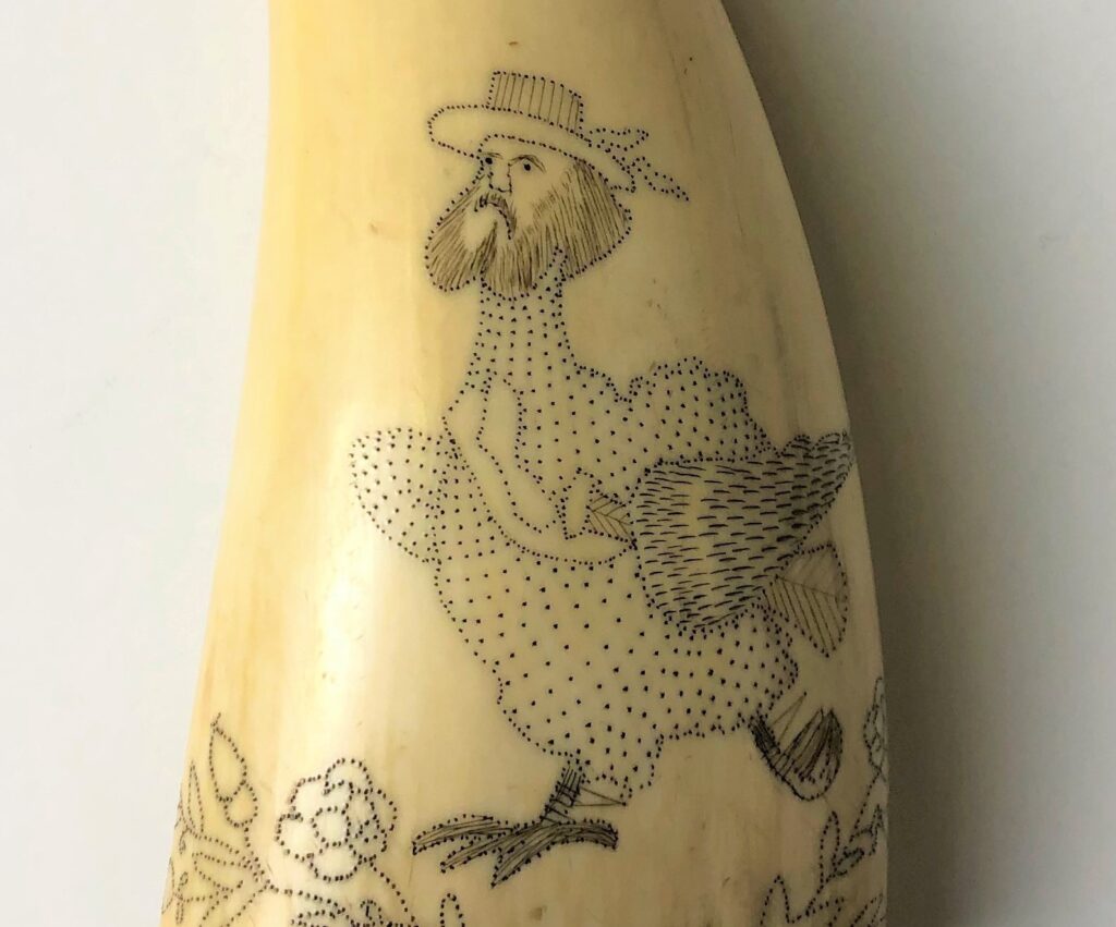 Whale tooth, engraved with a humorous bird with a bearded sailor's head, carrying and umbrella and running