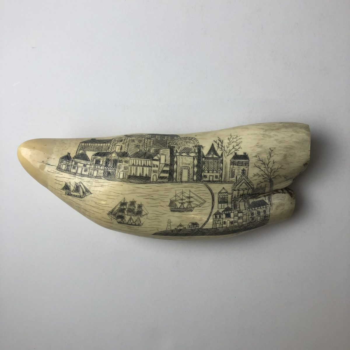 Whale Tooth, ca. 1850