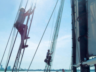 Climbing Pioneer