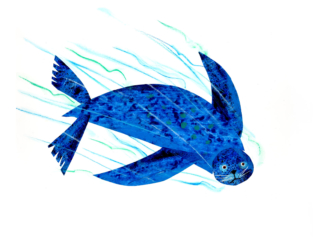 Sea-Lion