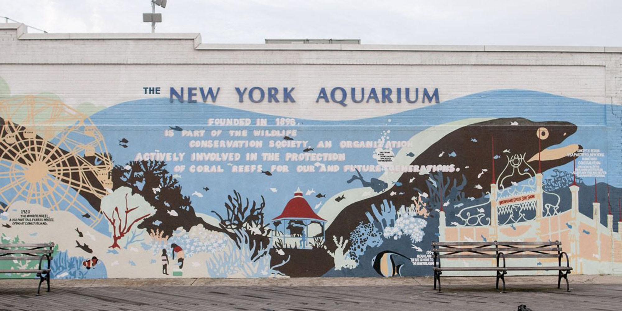 Youth Ocean Advocates Presentations