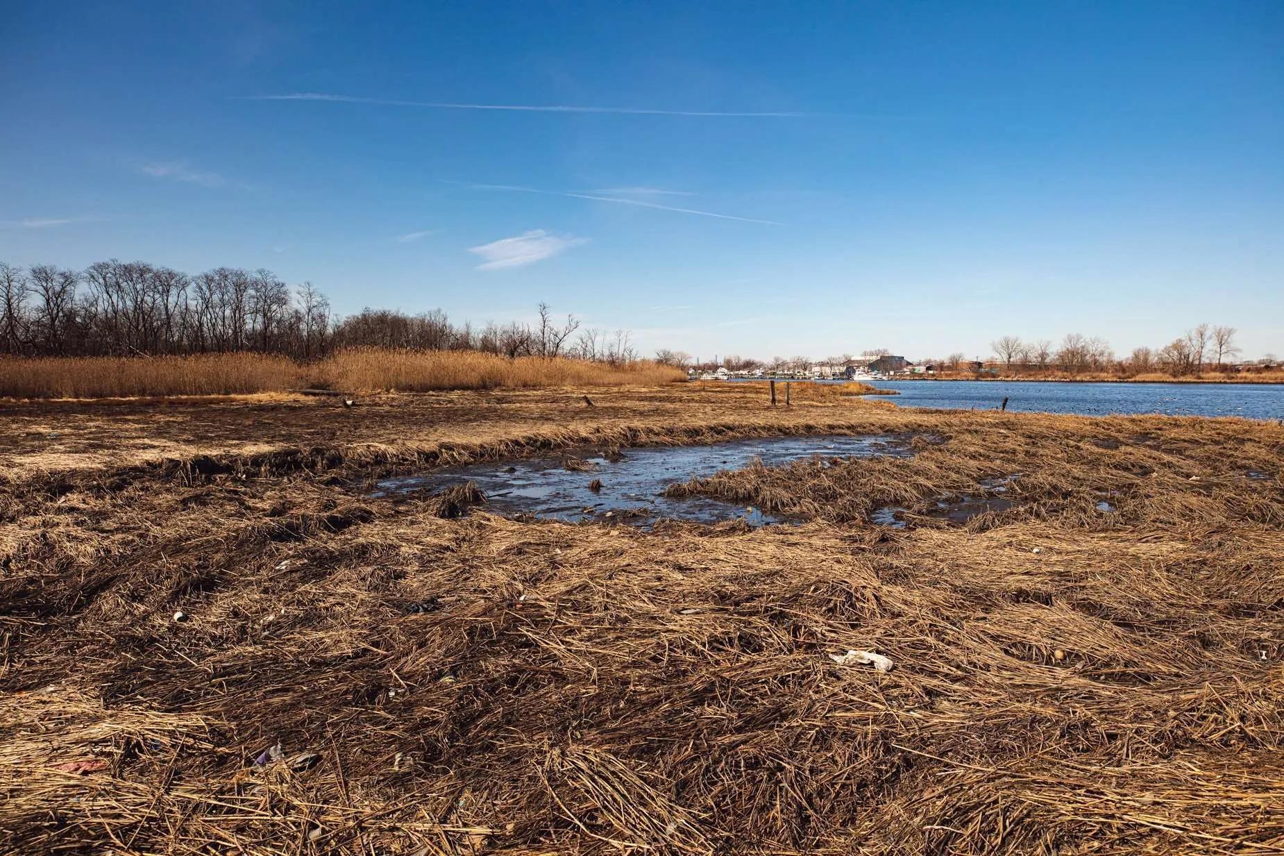 Documenting Indigenous Shinnecock Land