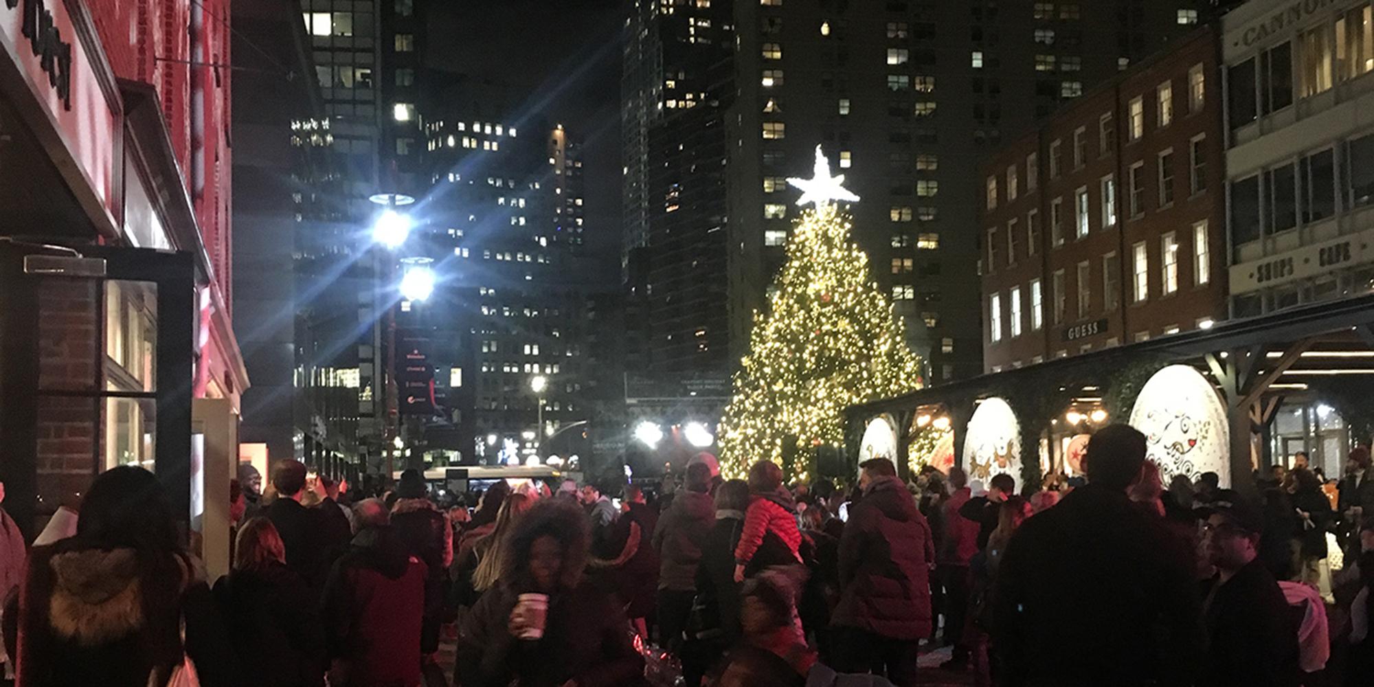 Holiday Tree Lighting Activities