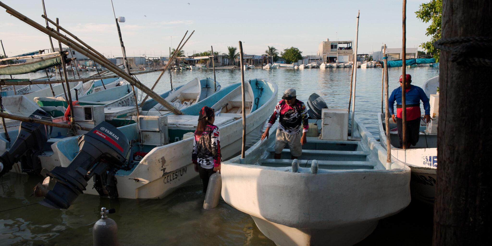 Climate Film Festival Screenings at the Seaport Museum